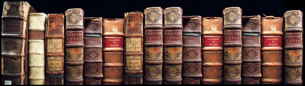 LECTURA DE TELARAÑA